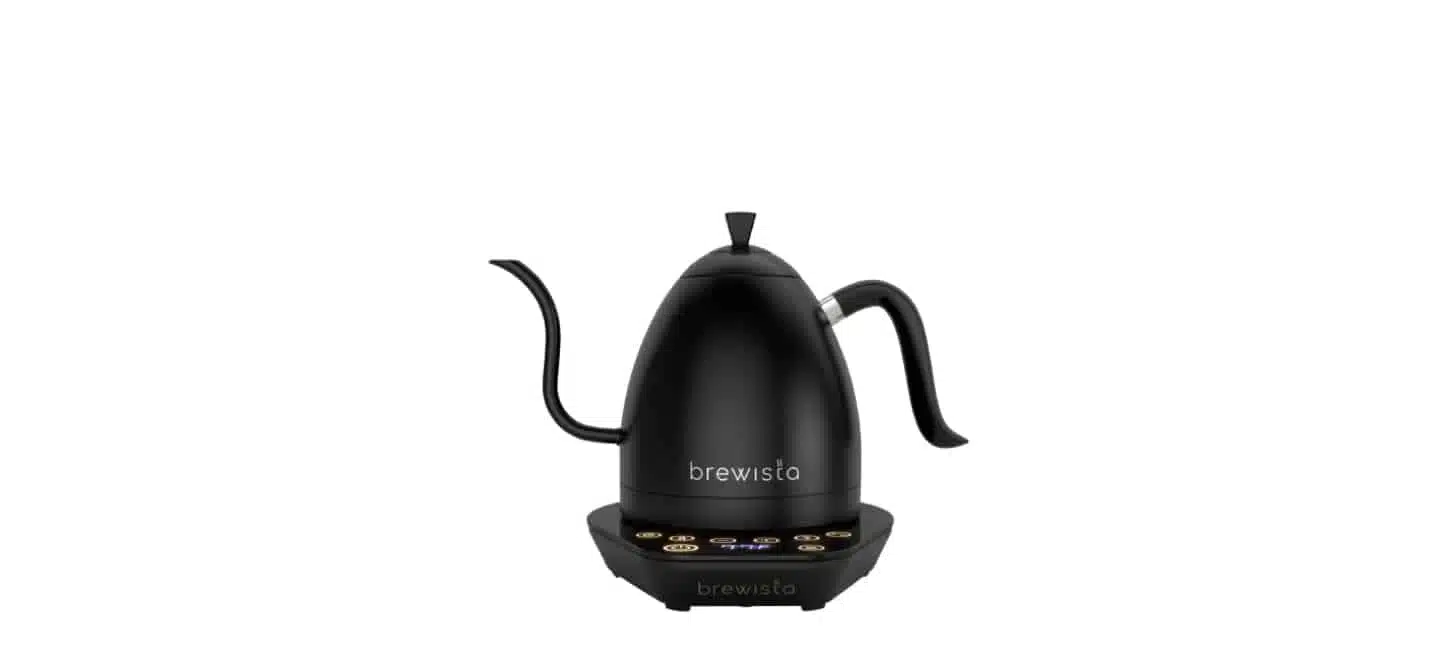 Intasting electric gooseneck kettle review and demo by Sara Get it
